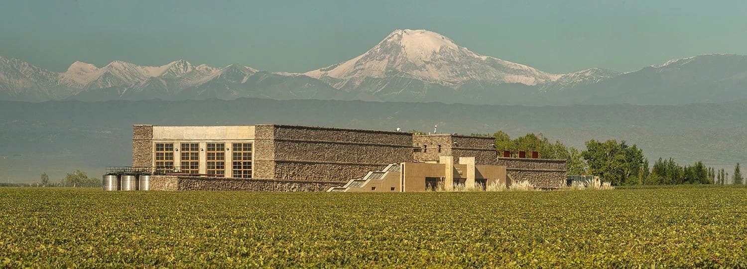 Bodega Séptima rodeada de viñedos con la Cordillera de los Andes al fondo.