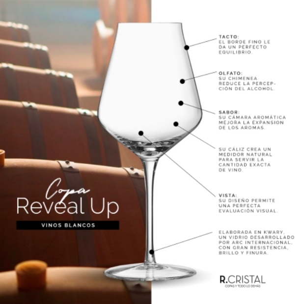 Copa Reveal Up Vinos Blancos