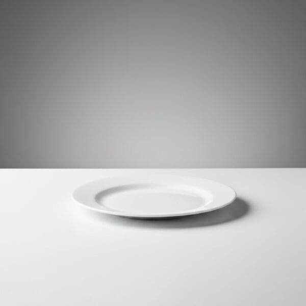 Plato Playo Menú 24cm